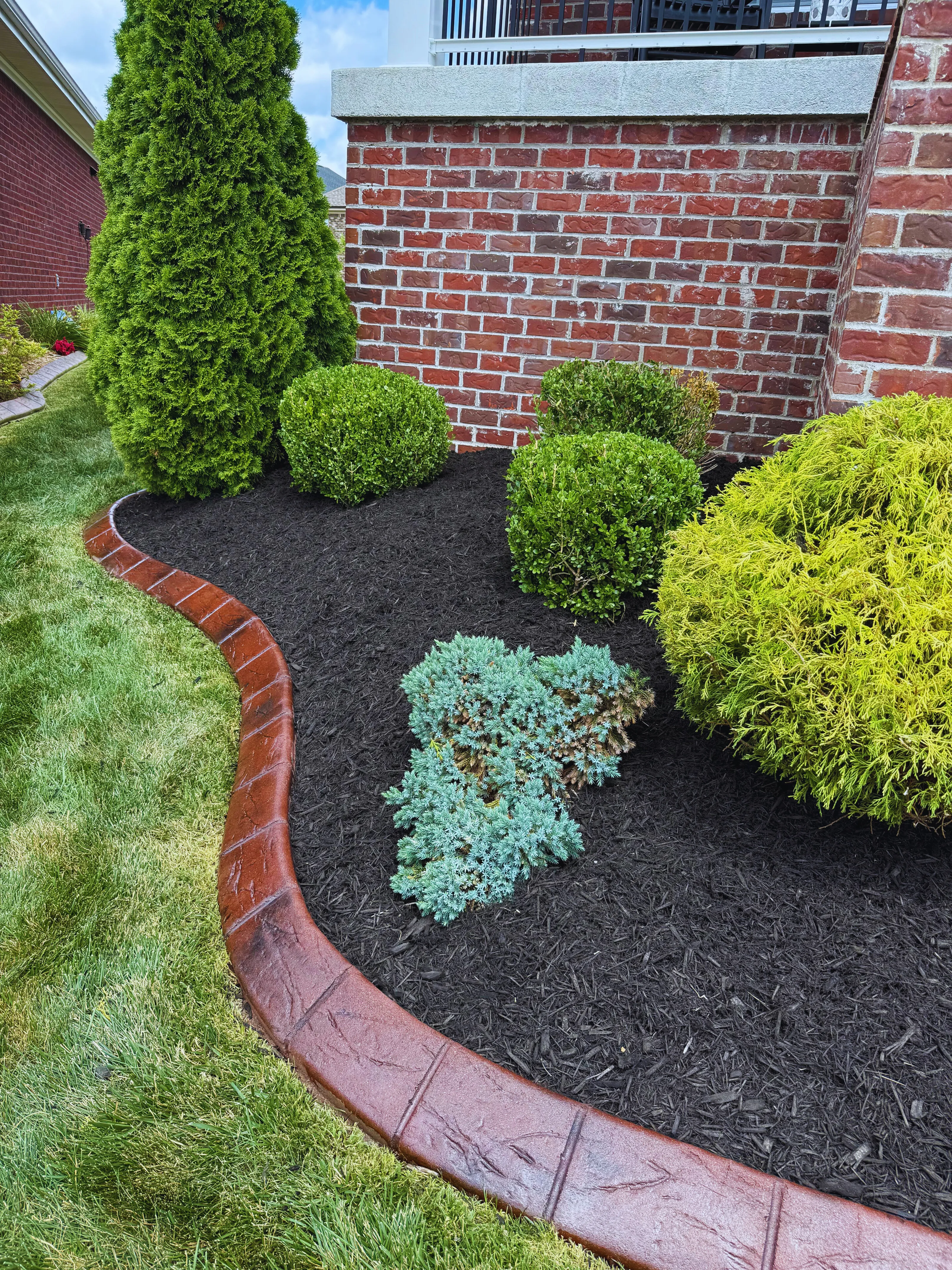 Brick-red stamped curbing wrapping a bed of arborvitae and juniper