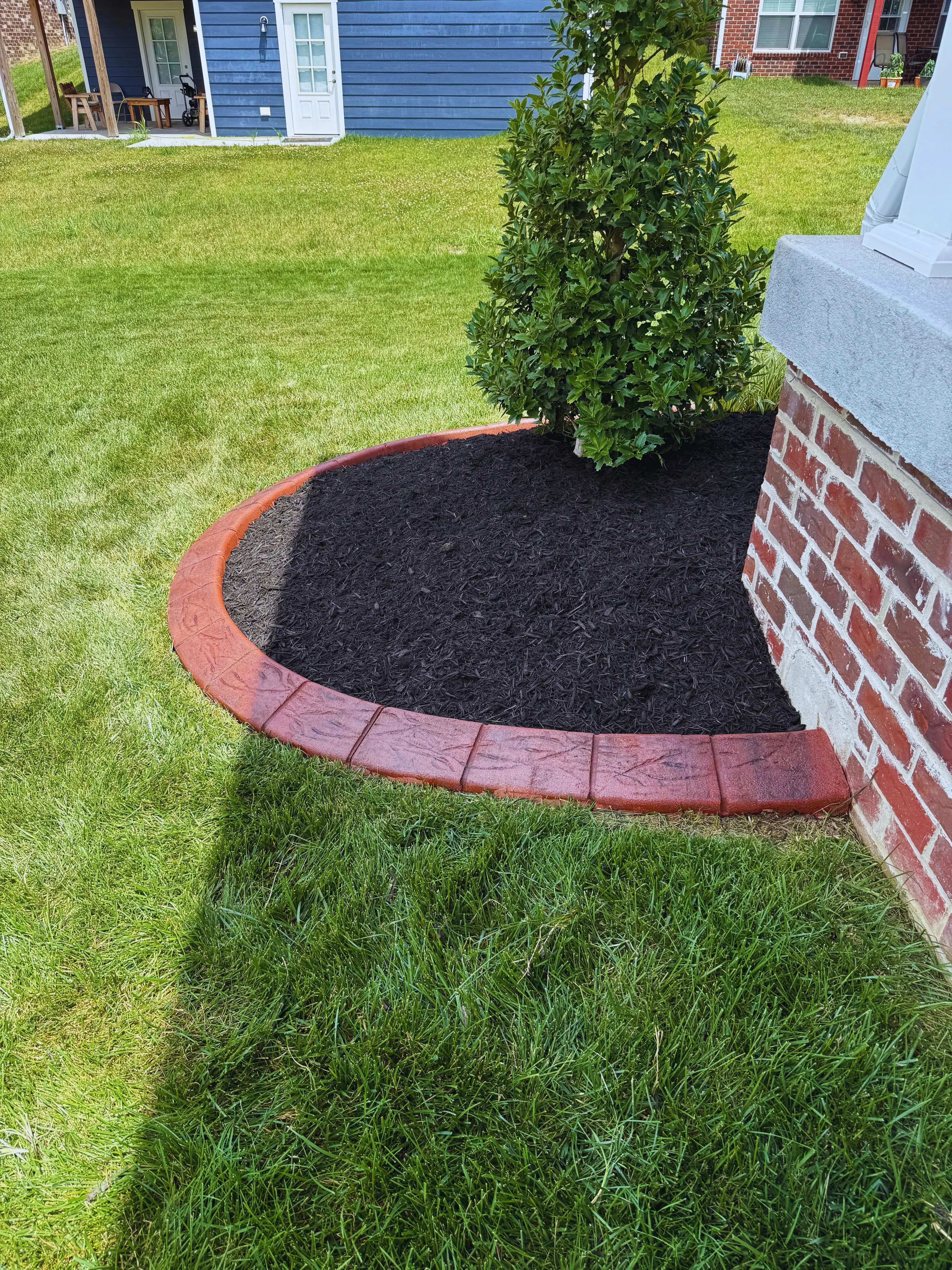 Brick-red stamped curbing arcing around a young boxwood tree against a brick foundation