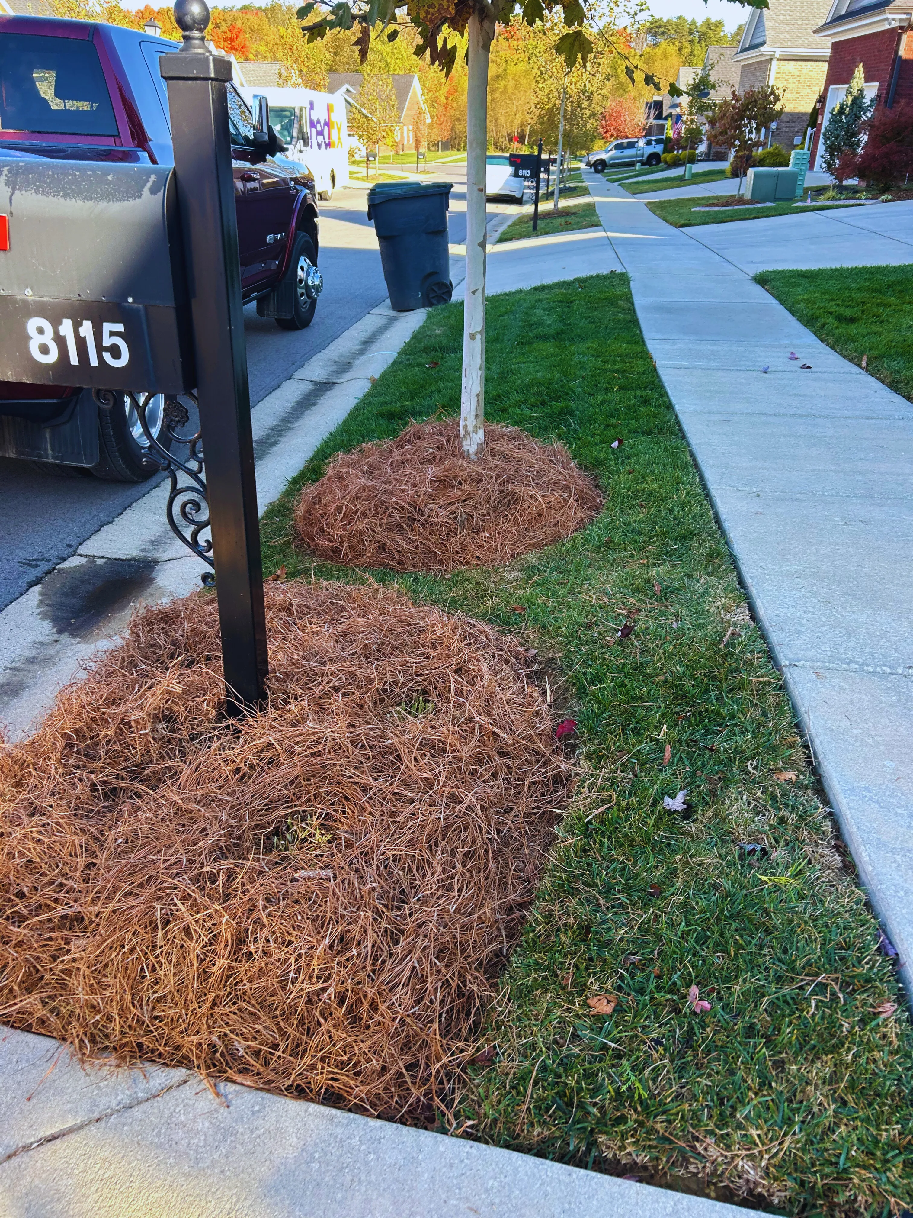 Pine-straw beds around a residential mailbox and roadside tree