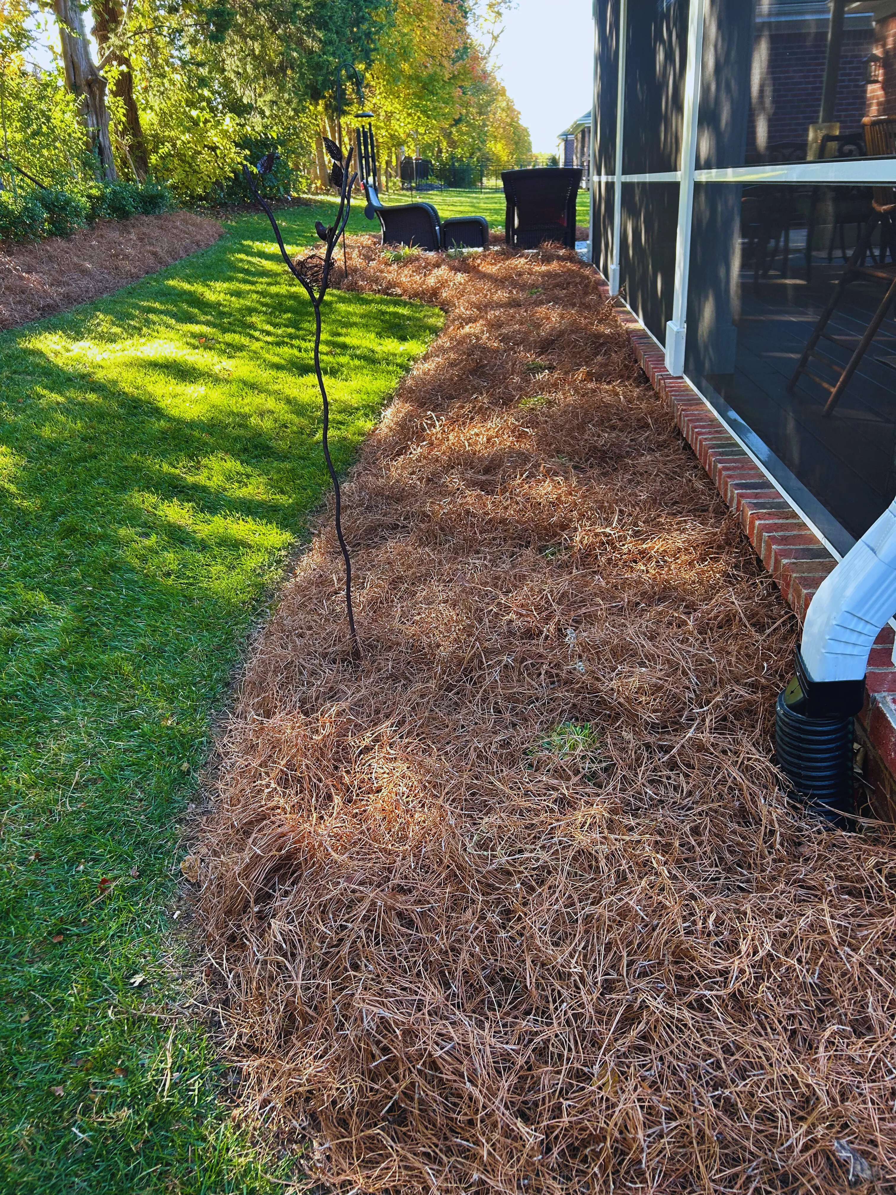 Pine-straw bed along a brick screened porch, a recent landscaping job
