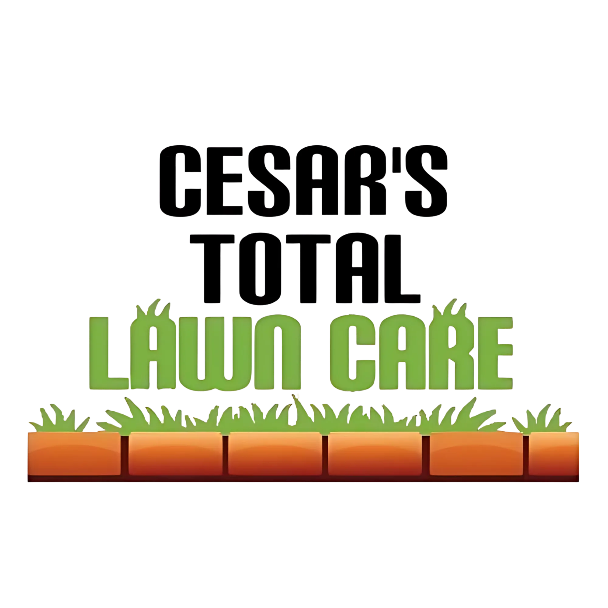 Cesar's Total Lawn Care — home